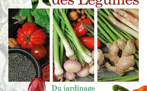 Un beau livre sur les bons légumes