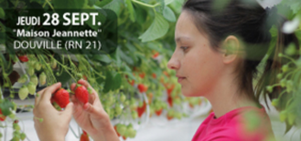 Fruits et légumes:rendez-vous à Douville (24)