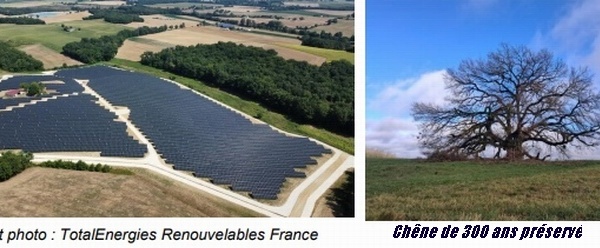 TotalEnergie lance une centrale photovoltaïque à Tombeboeuf (47)