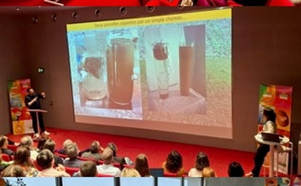  Fruits et légumes frais: la consommation en question