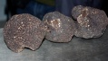 La truffe du Périgord à Bordeaux
