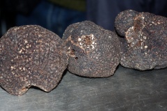 De quoi faire rêver!