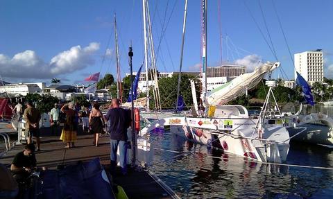 calme et curiosité calme et curiosité