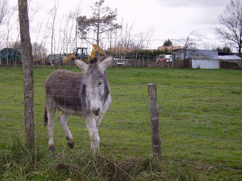 hihan au pré hihan au pré