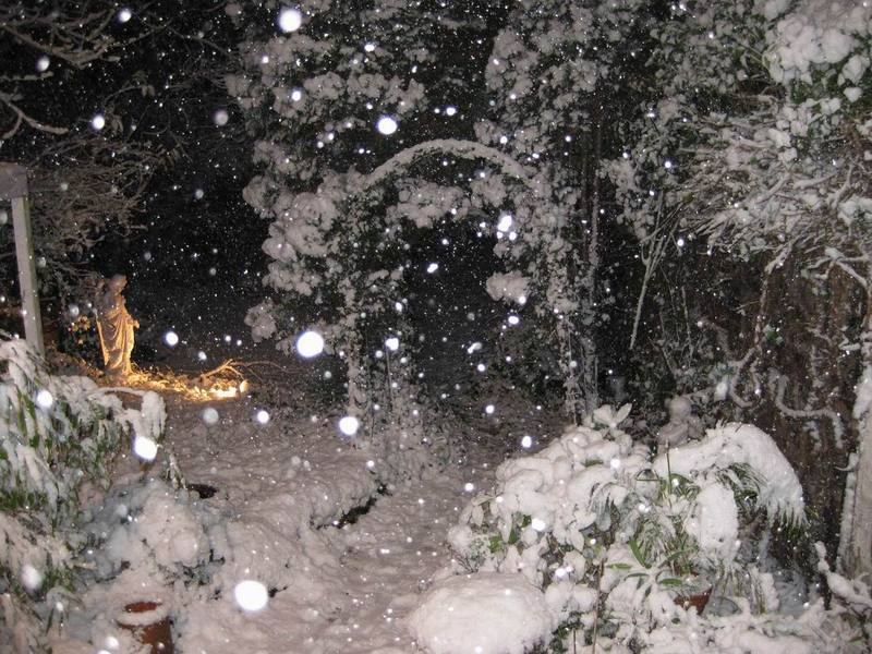 Neige à Dusseldörf (ph Andréa Schmitz)