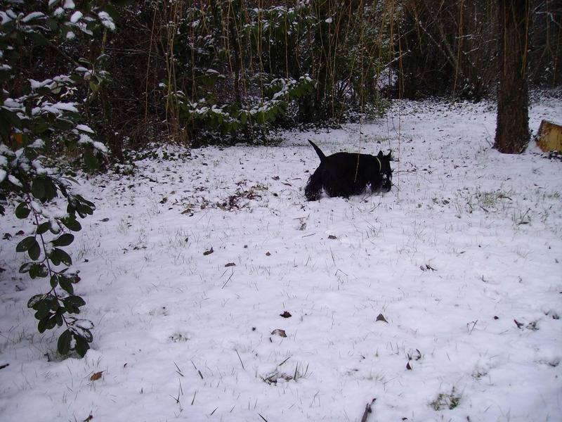 Ouah!c'est froid! Ouah!c'est froid!