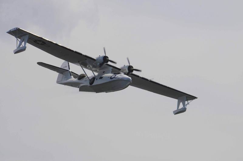 Bel oiseau Bel oiseau